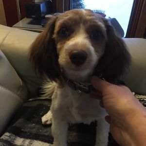 Meet your Posher, Sherry